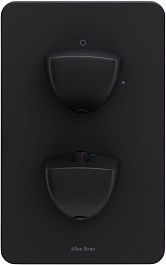 Allen Brau Смеситель для душа Infinity 5.21116-31 (с внутренней частью, 1 выход) черный матовый – фотография-3